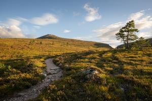 Abendsonne beim Aufstieg
