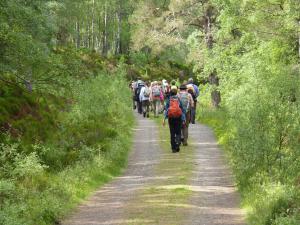 Wandern in Glen Affric