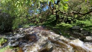 Zauberhaftes Licht und Wasser