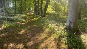 im Bemersyde Garden, Mai