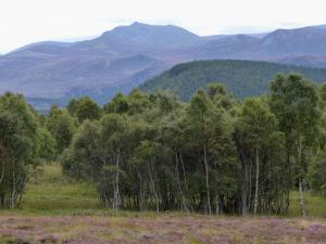 Lochnagar von Inver