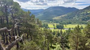 Blick ins Dee Tal