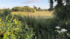 Kilconquhar Kirche