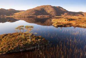 Morgenstimmung an Loch Druim Suardalain