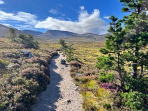 Cairngorms Wanderweg