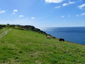 Cornwall Wanderreise - Dodman Point