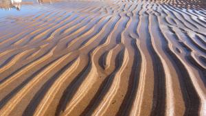 Sands of Fife