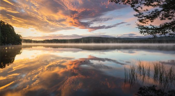 Sonnenaufgang, Loch Garten