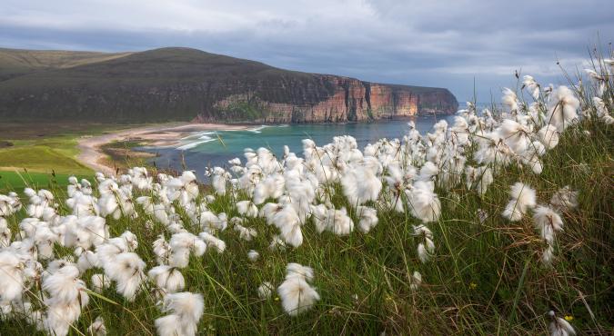 Rackwick Bay auf Hoy, Orkney